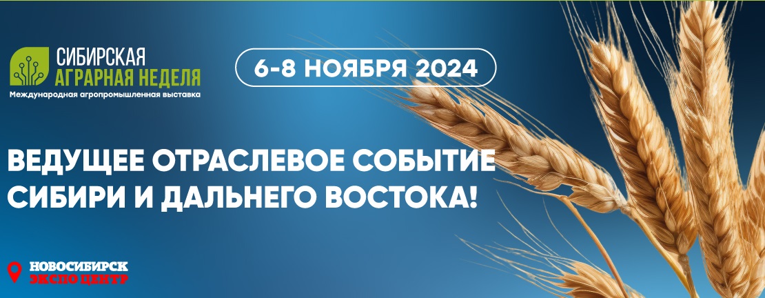   :    2024  !