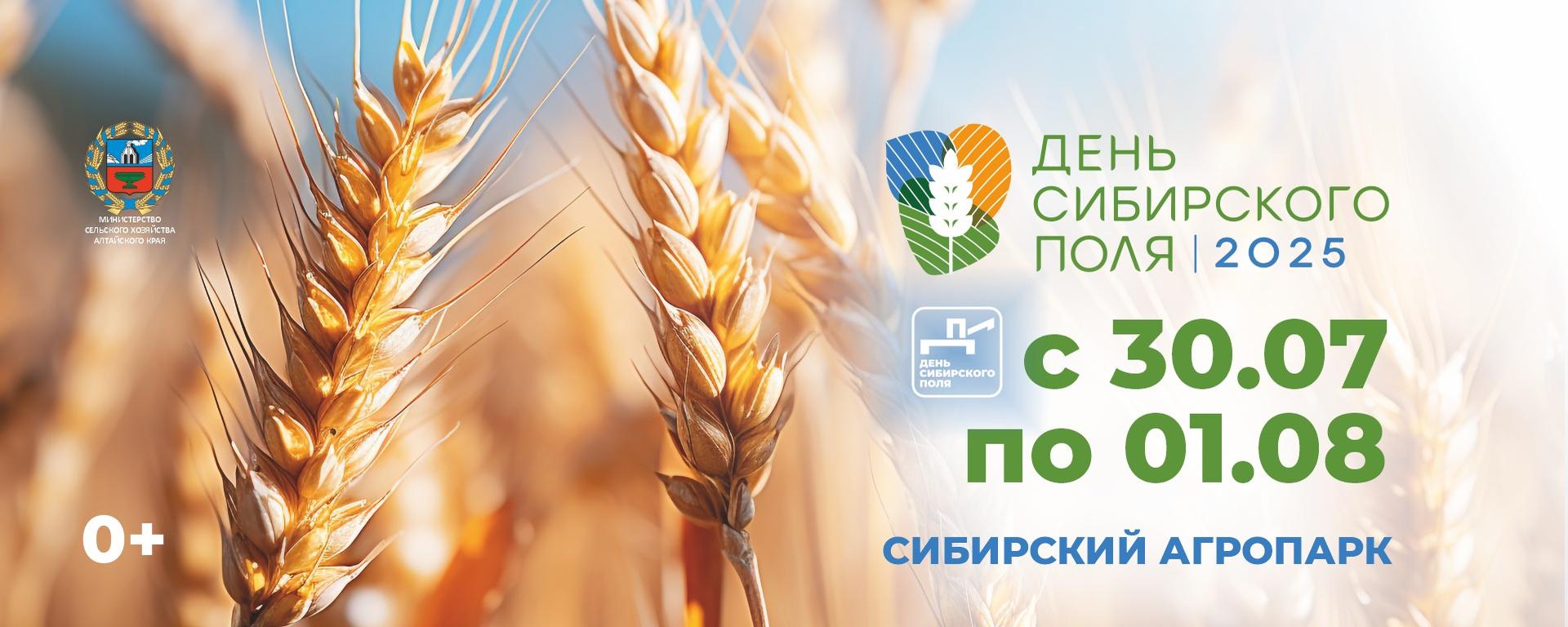 Мы на Сибирском дне Поля 2025