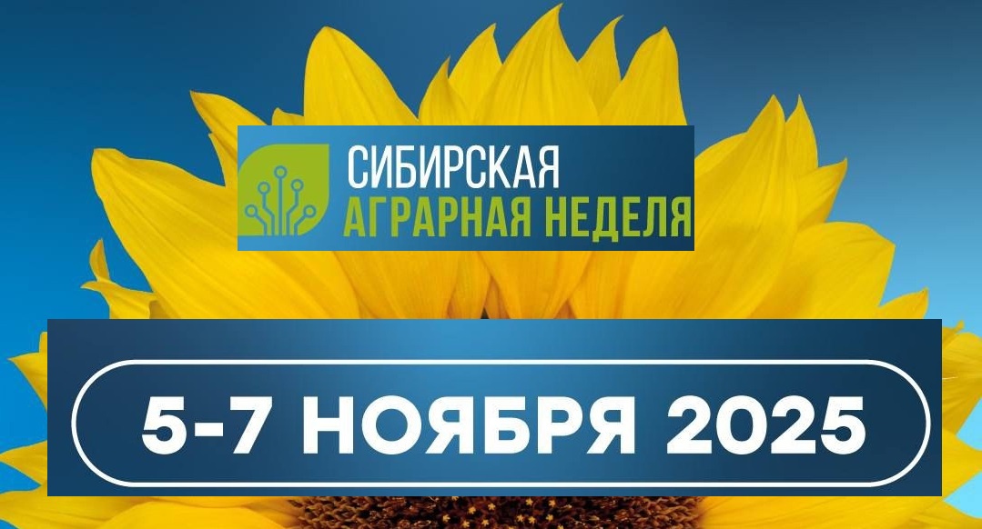 � ����� � ������ �� ���������� 2025