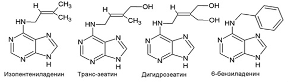 Ряд синтетических и природных цитокининов